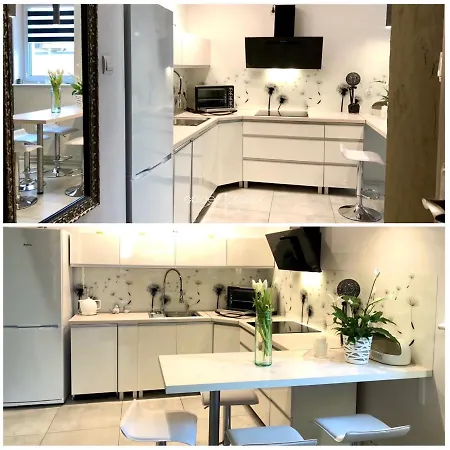 Mniszek Apartment *